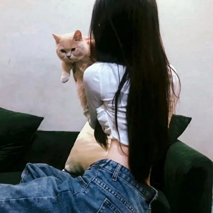 孤独的美食家 第二季